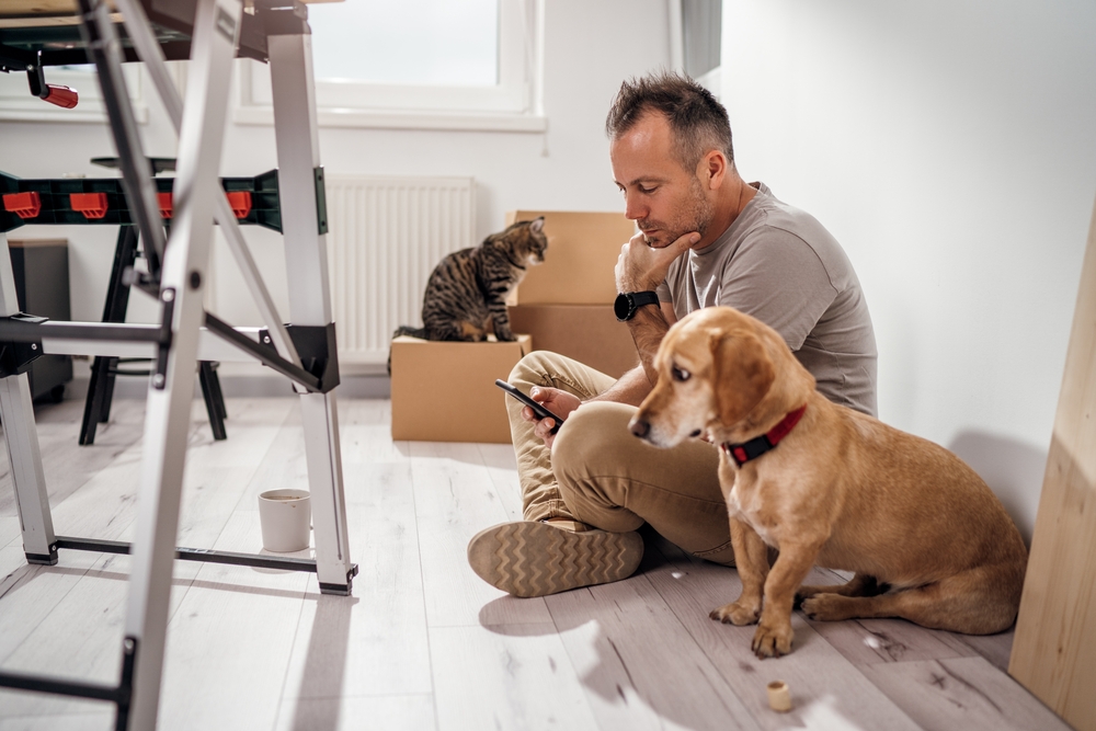 Acoffeebreakwithmypetswhiletherenovationis What Is The Best Way To Move With Pets